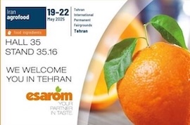 نماینده اساروم اتریش