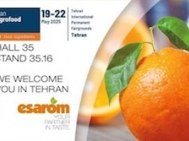 نماینده اساروم اتریش